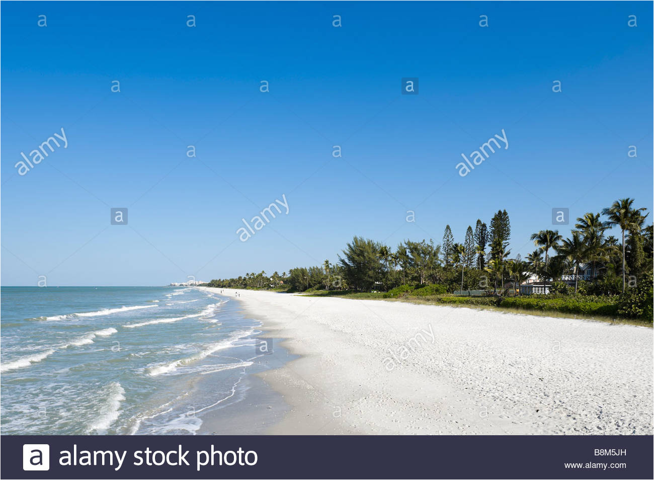 strand von der seebrucke in naples beach golfkuste florida usa stockbild