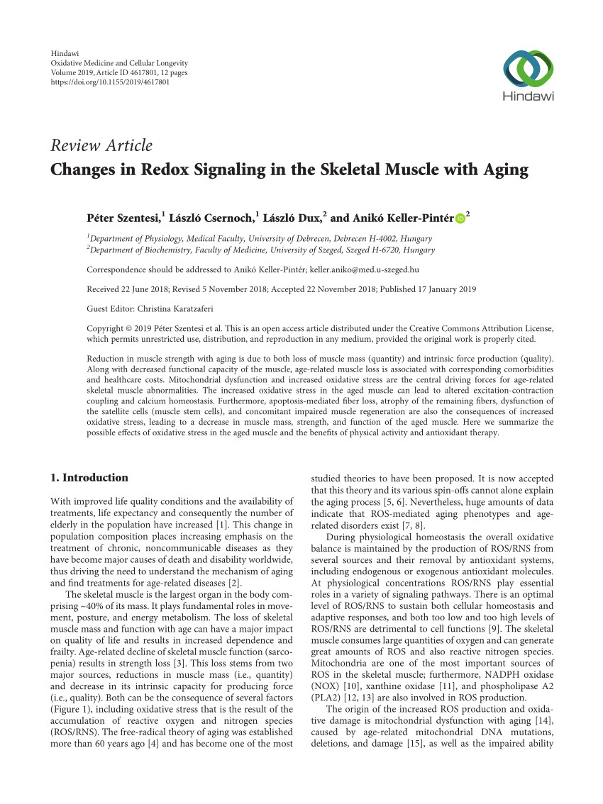 pdf satellite cells and skeletal muscle regeneration