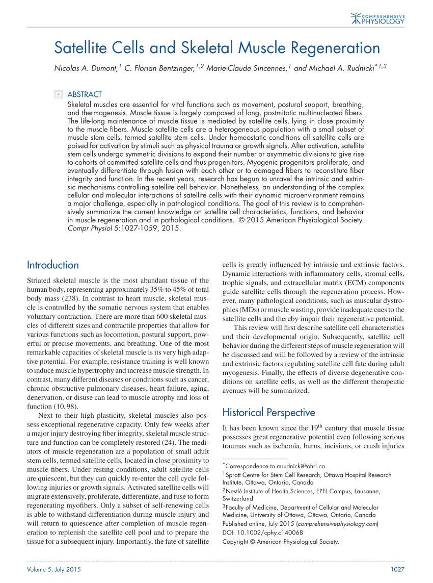 pdf satellite cells and skeletal muscle regeneration