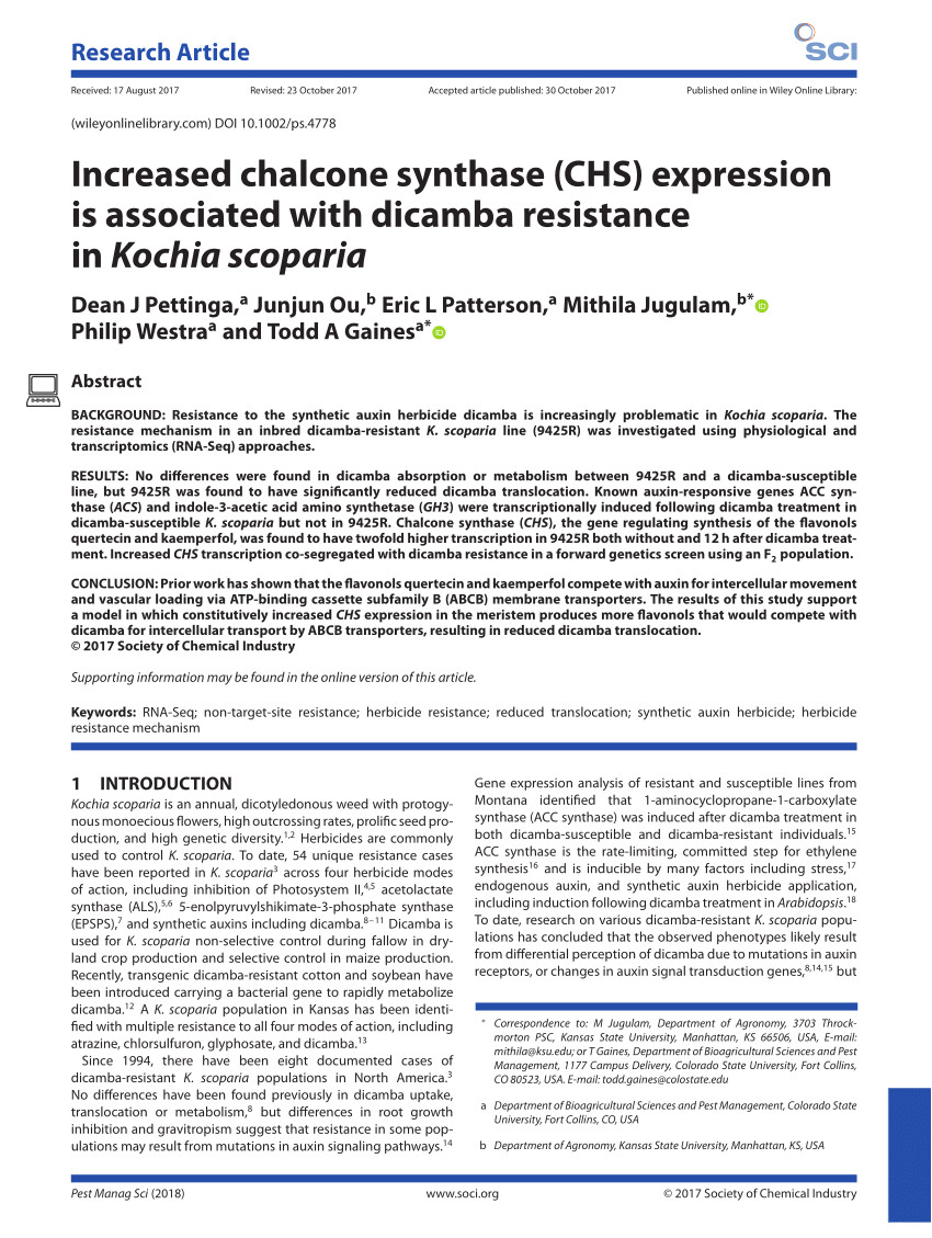 pdf increased chalcone synthase chs expression is associated with dicamba resistance in kochia scoparia dicamba resistance mechanism