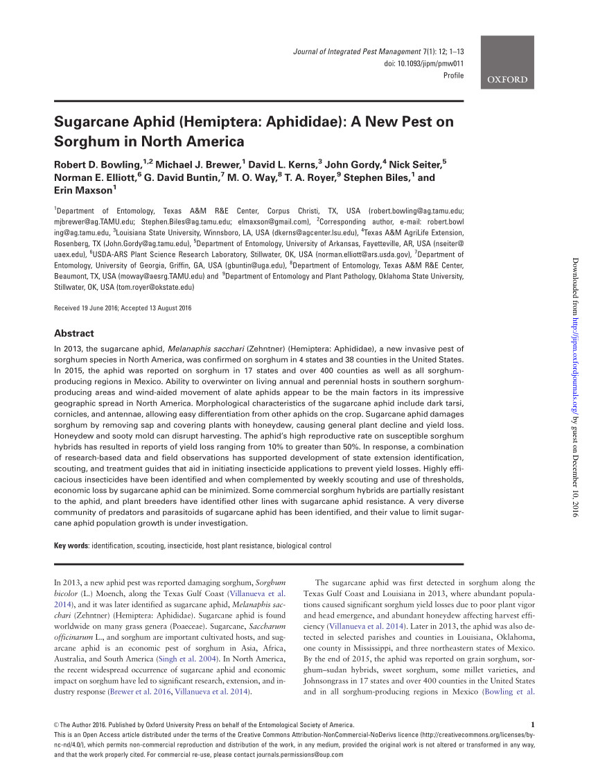 pdf insecticide control of sugarcane aphid on grain sorghum 2014