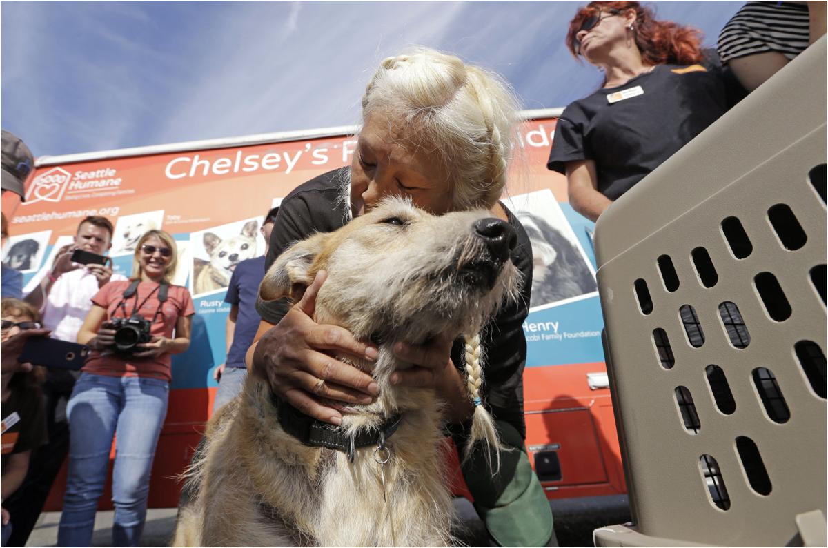 nearly 60 photos of animals being rescued from harvey flooding nation world richmond com