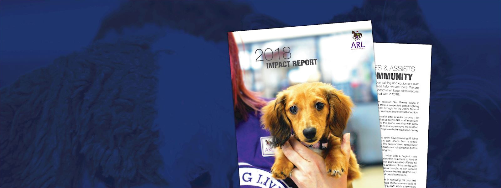 view the arl s 2018 impact report