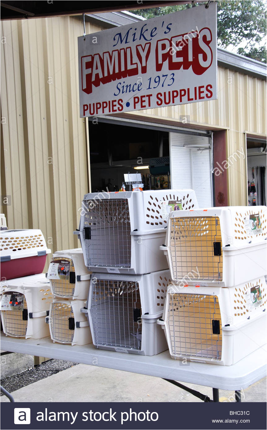 local small pet shop dallas area texas usa stock image