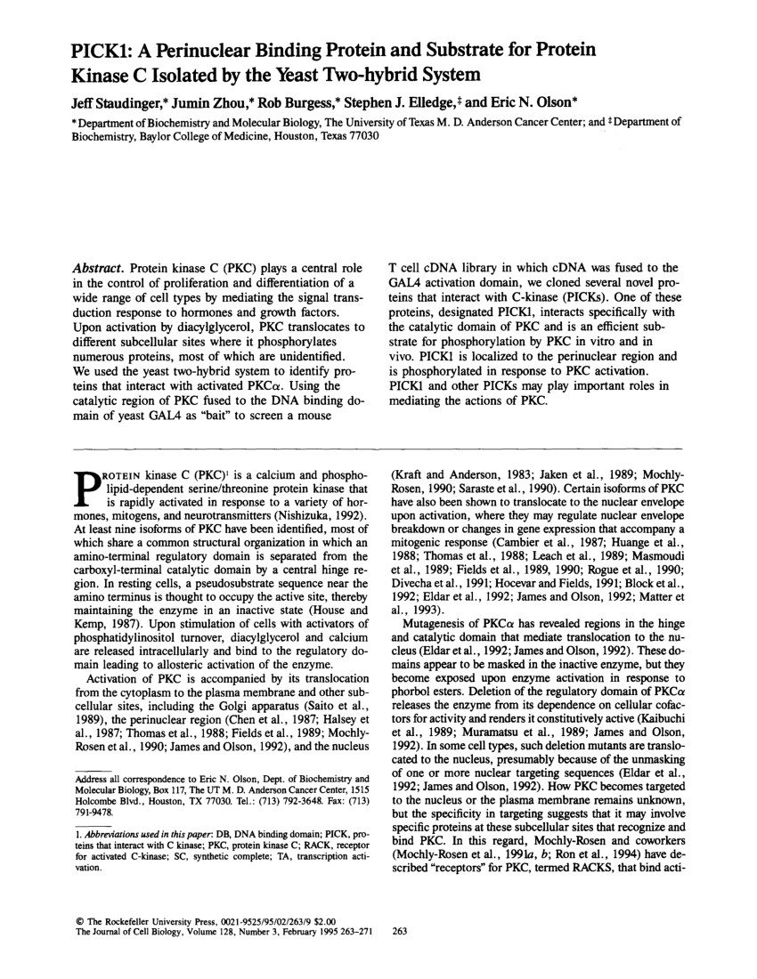 pdf ephrinbs regulate d serine synthesis and release in astrocytes