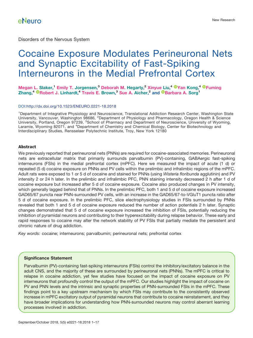 pdf brain extracellular matrix affects ampa receptor lateral mobility and short term synaptic plasticity