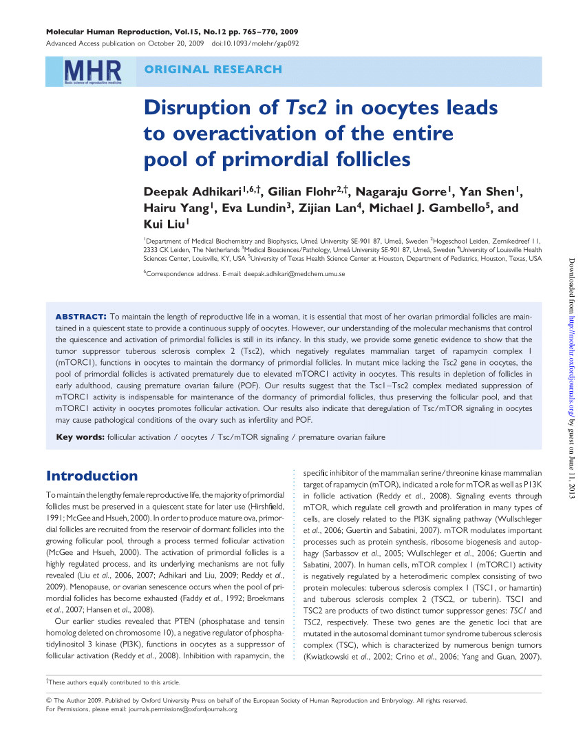 age related changes in mitochondrial function and new approaches to study redox regulation in mammalian oocytes in response to age or maturation conditions