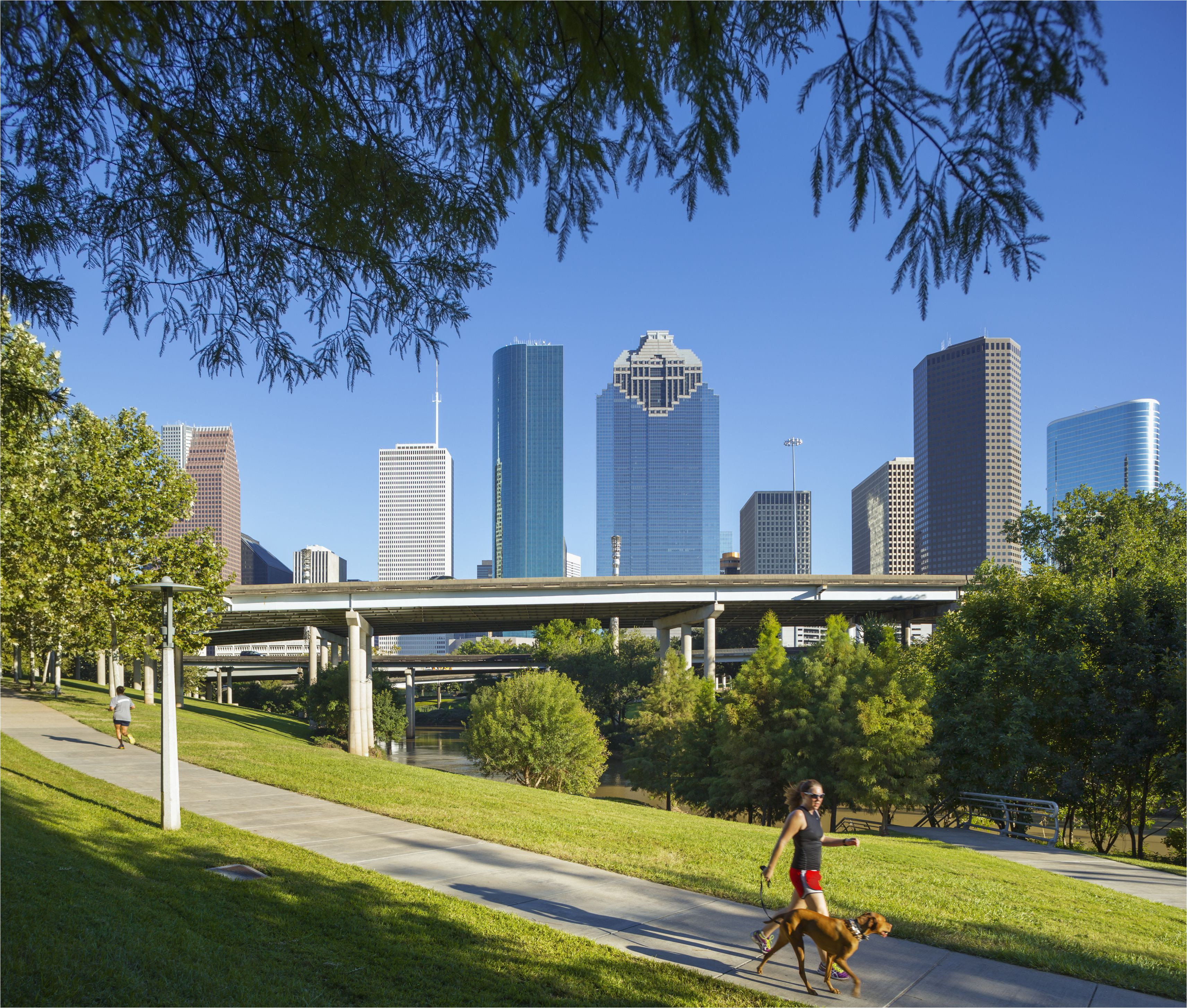 downtown houston skyline 521657322 58ecce0e3df78c5162b0334a jpg