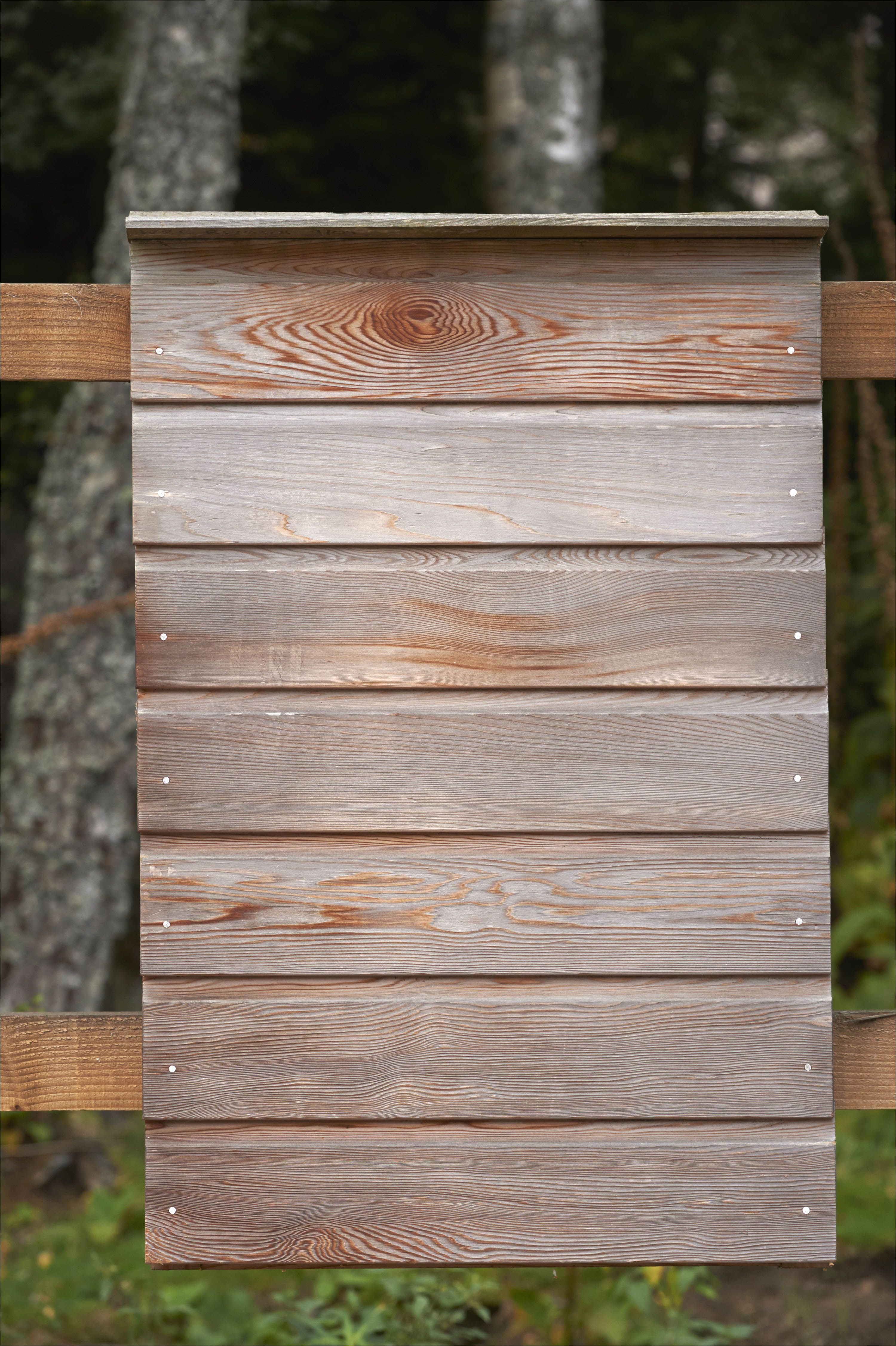 western red cedar rw008 naturally weathered for four years