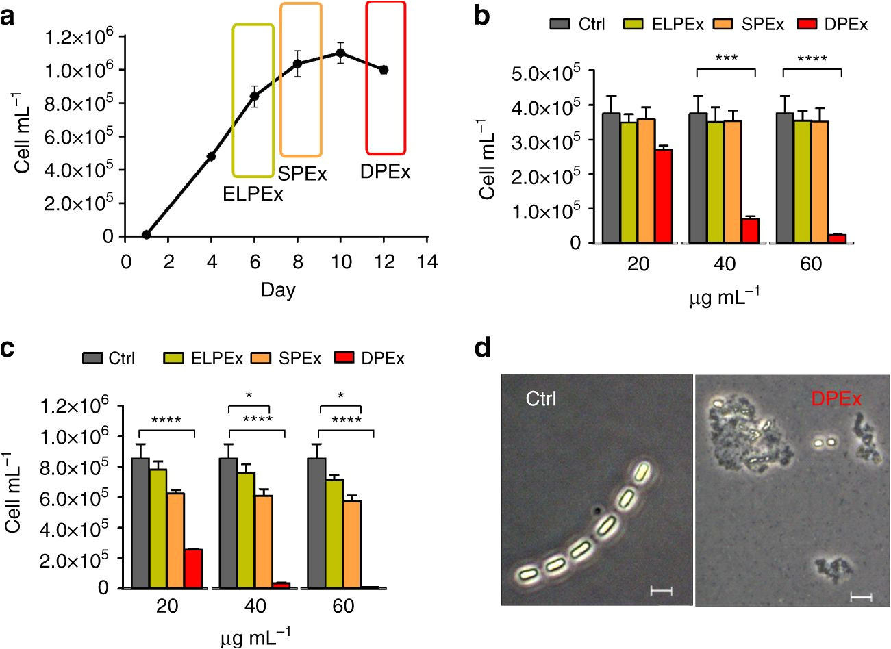 autoinhibitory sterol sulfates mediate programmed cell death in a bloom forming marine diatom nature communications