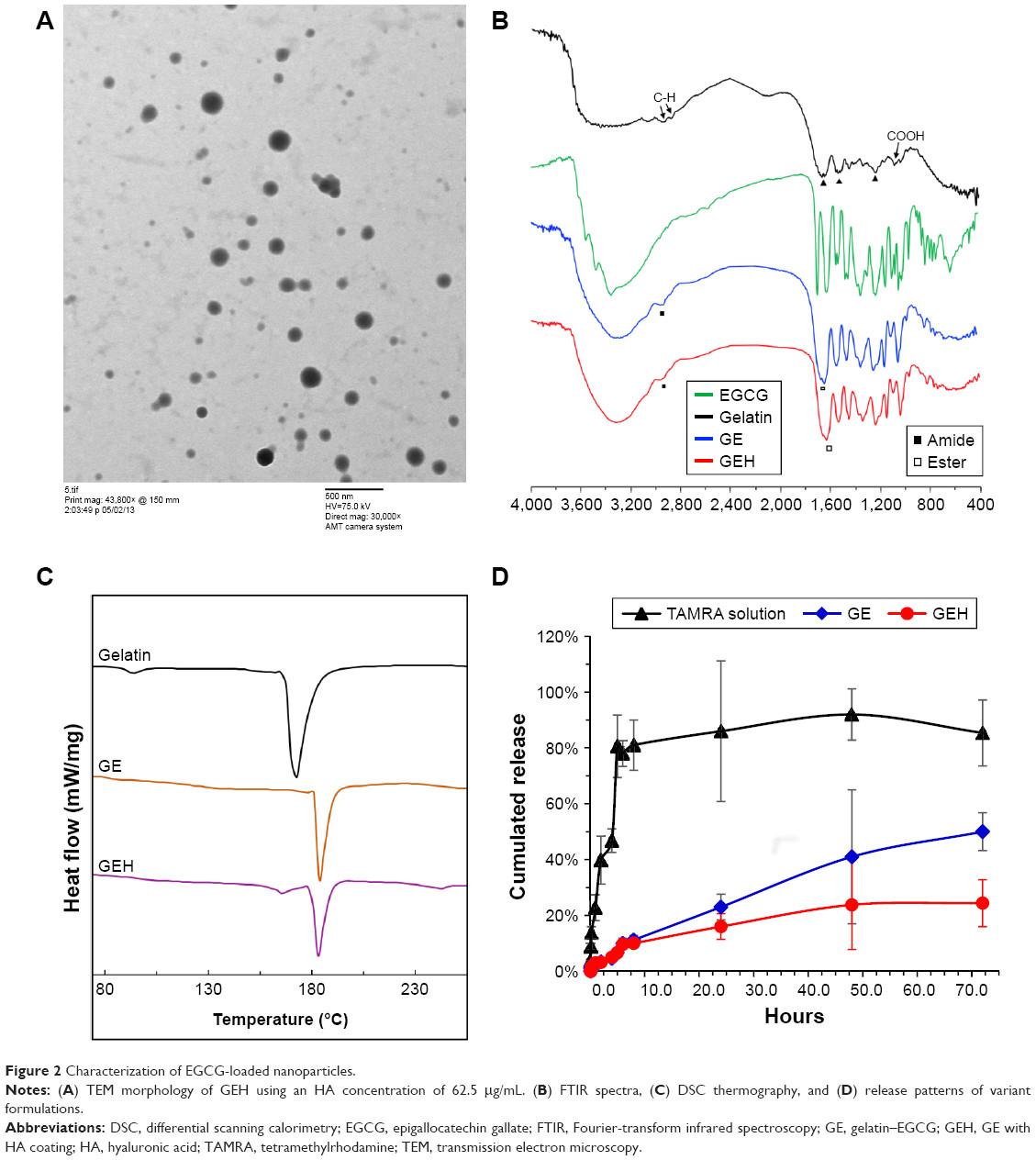 figure 2 characterization of egcg loaded nanoparticles notes a tem morphology of geh using an ha concentration of 62 5 i g ml b ftir spectra c dsc