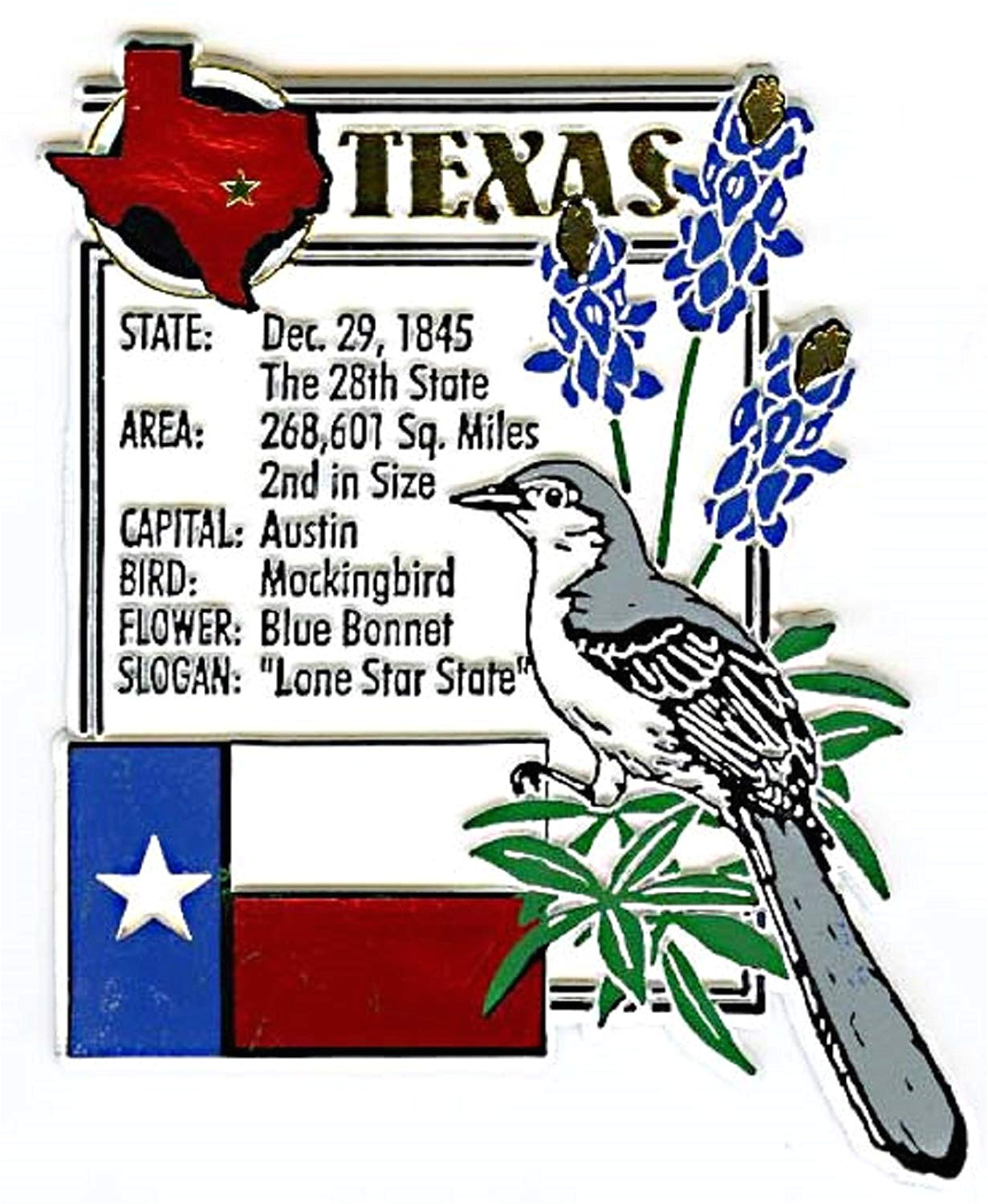 amazon com texas the lone star state montage fridge magnet refrigerator magnets kitchen dining