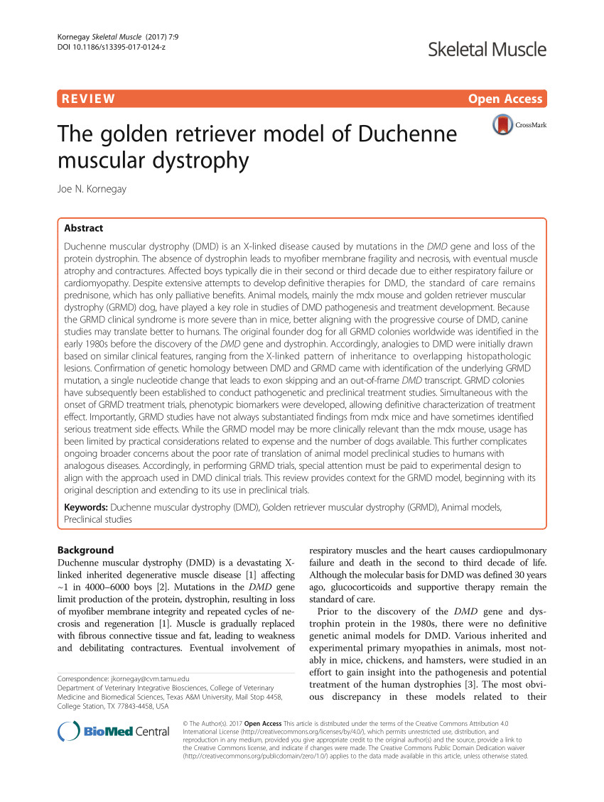 pdf dystrophin deficient dogs with reduced myostatin have unequal muscle growth and greater joint contractures