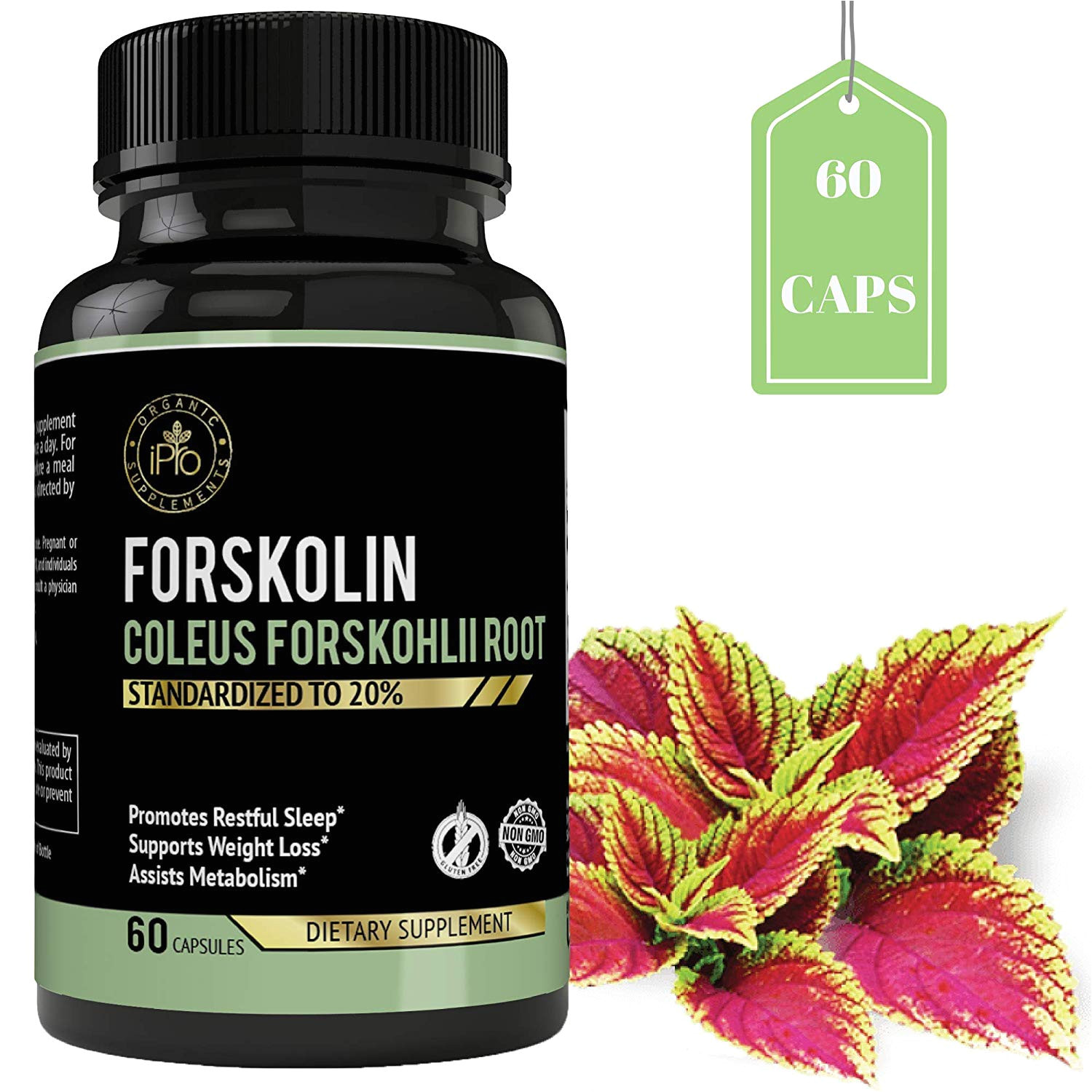 Ultra Trim 350 Pure forskolin Amazon Com Ipro organic Supplement forskolin Coleus forskonlil Root