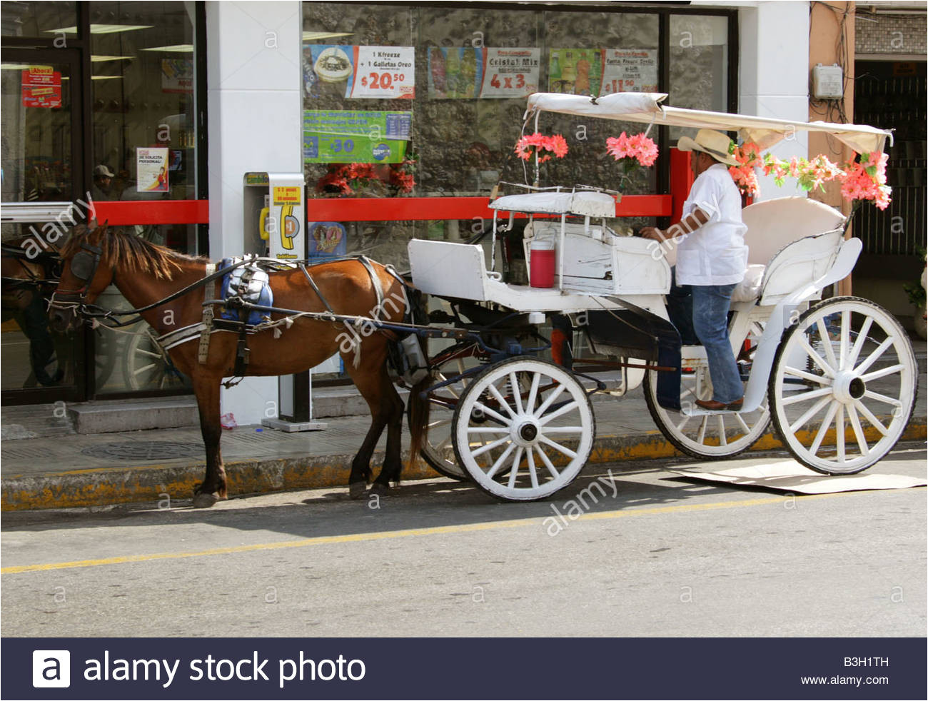 caballo y carro taxi peninsular merida yucatan mexico imagen de stock