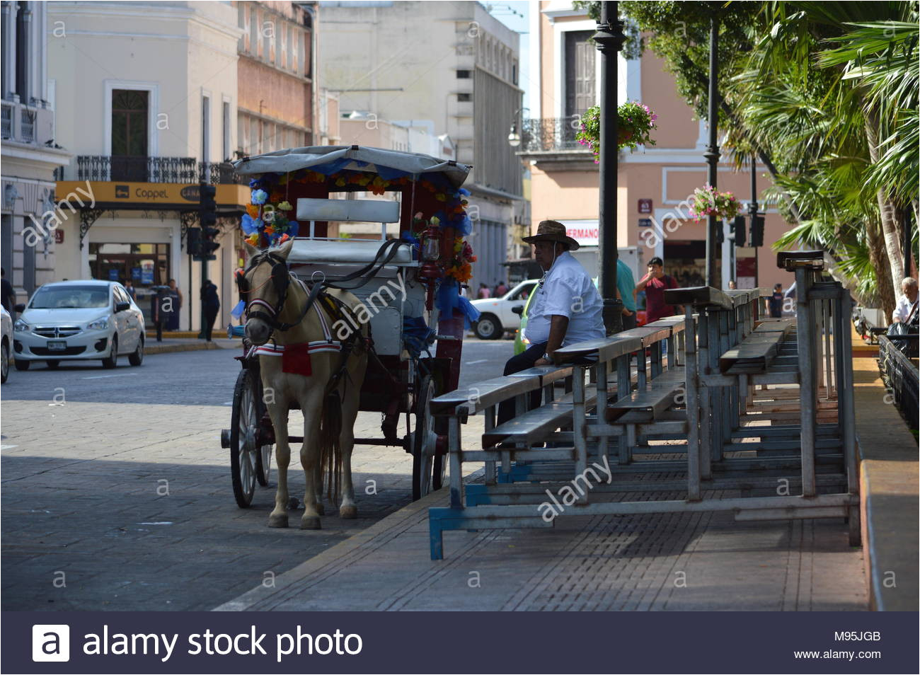 un caballo y una carroza esperando en la plaza grande en merida yucatan