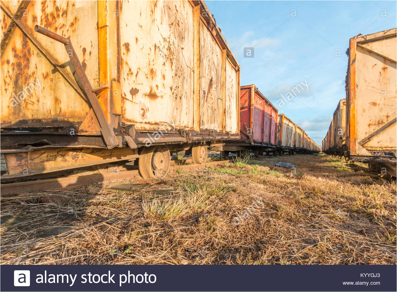 frog perspective old mine cart for peat mining stock image