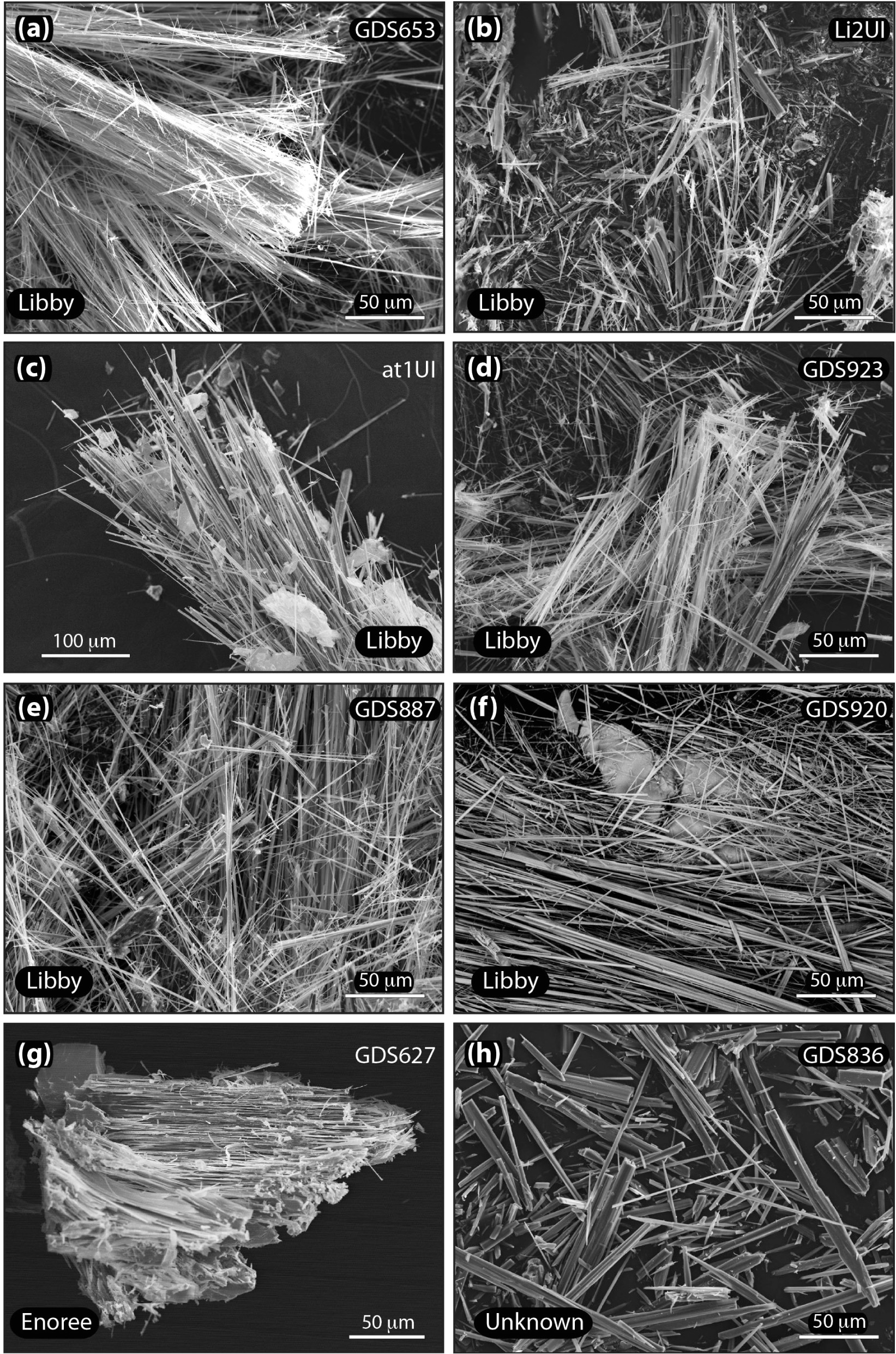 secondary electron images of elongate amphibole bundles from the sink fractions of commercial expanded vermiculite ore