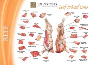 1 2 Beef Cut List Custom Beef Instructions forms Johnston 39 S
