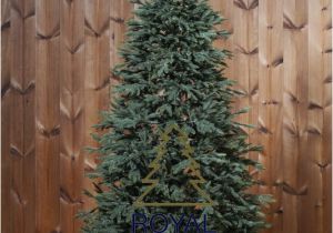 100 Pe Christmas Tree Artificial Christmas Tree Delaware Deluxe 100 Pe