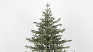 100 Pe Christmas Tree Artificial Christmas Tree Ohio Deluxe Natural Model