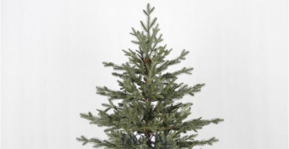 100 Pe Christmas Tree Artificial Christmas Tree Ohio Deluxe Natural Model