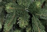 100 Pe Christmas Tree Best Artificial Premium 7ft Realistic Christmas Tree