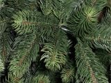 100 Pe Christmas Tree Best Artificial Premium 7ft Realistic Christmas Tree