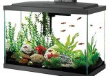 20 Gallon Fish Tank Starter Kit Aqueon 100530578 Aqueon Aquarium Fish Tank Starter Kits