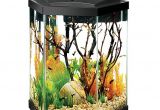 20 Gallon Fish Tank Starter Kit Aqueon 20 Gallon Hex Aquarium Starter Kit Fish Starter