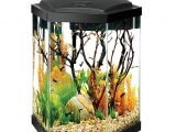 20 Gallon Fish Tank Starter Kit Aqueon 20 Gallon Hex Aquarium Starter Kit Fish Starter