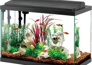 20 Gallon Fish Tank Starter Kit Aqueon Deluxe Led Aquarium Kit Black 20 Gallon Ebay