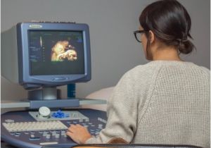 3d Ultrasound Bronx Ny 3d Ultrasound Bronx Ny Beautiful Beginnings 3d