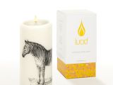 3×6 Ivory Pillar Candles Bulk Lucid Candle 3×6 Zebra Natural Pillar Candle