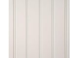 48 X96 Rv White Ceiling Board Eucatile 32 Sq Ft 3 16 In X 48 In X 96 In Beadboard