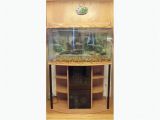 50 Gallon Bow Front Aquarium 50 Gallon Bow Front Aquarium Rural Regina Regina