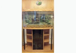 50 Gallon Bow Front Aquarium 50 Gallon Bow Front Aquarium Rural Regina Regina