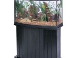 50 Gallon Bow Front Aquarium Aqueon 46 Gallon 36 Quot Lx16 Quot Wx21 Quot H Bow Front Glass Fish Tank