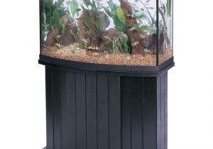 50 Gallon Bow Front Aquarium Aqueon 46 Gallon 36 Quot Lx16 Quot Wx21 Quot H Bow Front Glass Fish Tank