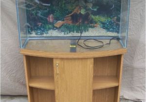 50 Gallon Bow Front Aquarium Fish Tank Stand Bow Front Bowfront Aquarium Stands