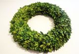 6 Inch Preserved Boxwood Wreath wholesale Garden Fresh 20 Quot Boxwood Wreath Tradingsmith