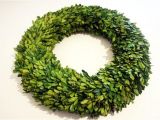 6 Inch Preserved Boxwood Wreath wholesale Garden Fresh 20 Quot Boxwood Wreath Tradingsmith