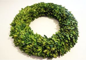 6 Inch Preserved Boxwood Wreath wholesale Garden Fresh 20 Quot Boxwood Wreath Tradingsmith