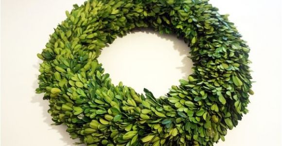 6 Inch Preserved Boxwood Wreath wholesale Garden Fresh 20 Quot Boxwood Wreath Tradingsmith