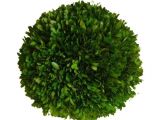 6 Inch Preserved Boxwood Wreath wholesale Preserved Boxwood Ball 6 Quot Flora Decor