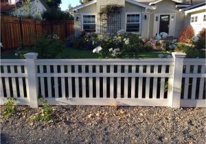 60 Cheap Diy Privacy Fence Ideas Simple 3ft Fence Fencing Fence Garden Structures Home