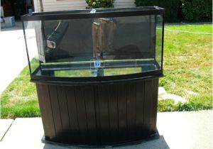 72 Gallon Bow Front Aquarium Stand 72 Gallon Glass Bowfront Aquarium Kit Monsterfishkeepers Com