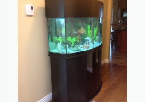 72 Gallon Bow Front Aquarium Stand 72 Gallon Oceanic Bow Front Aquarium Outside Nanaimo Nanaimo