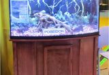 72 Gallon Bow Front Aquarium Stand R J Poseidon 72 Gallon Corner Bow Front Aquarium Stand