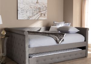 8 X 10 Rug Queen Bed Queen Bed with Trundle Bed Wayfair